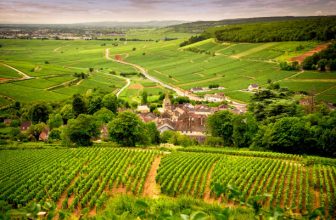 Burgundy’s Quiet Shift: From Extraction to Infusion