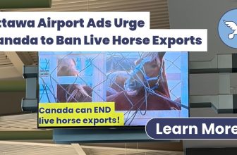 New Ottawa Airport Ads Call for Ban