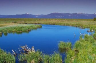 Utilizing Every Teaching Opportunity: Finding Inspiration in Teaching Environmental Law in Context