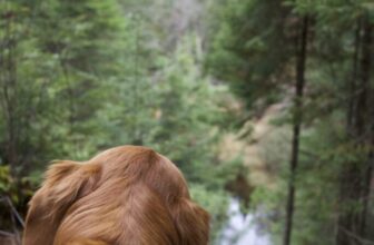 My Perfect 1 Day Huntsville, Ontario Itinerary