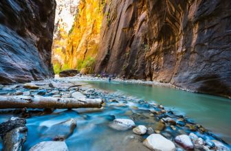 How to Visit Zion with Kids Without the Crowds and Plan Your Trip