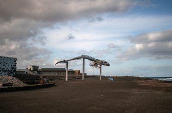 Salinas del Carmen Guide (Salt Museum, Church & Whale Skeleton)