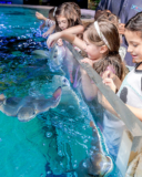 Top Ten Southern Aquariums to Visit – Austin Aquarium