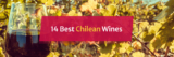 14 Best Chilean Wines | Marketview Liquor Blog
