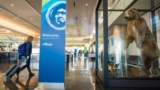 Alaska Airlines announces new flights to Anchorage from Detroit and Sacramento  