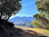 Best Marin Hikes | Top 10 Hikes in Marin County