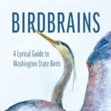 A Book That Reminded Me to Look Closer
