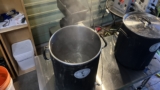exBEERiment | Impact Pre-Boling Has When Making Hop Water