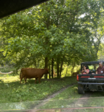 Summer Workshop Spotlight – Highland View Farms