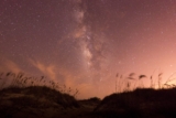 Launching SpaceX’s Starship in South Texas – SAPIENS