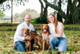 Rethinking Pet Custody in Divorce – Stephens & Stevens Marital & Family Law
