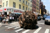 A 10ft ball of real human hair is rolling through New York, and it’s all part of the plan