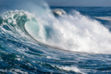 Monterey Bay Aquarium — Calling all California-based ocean champions! 🌊🏆