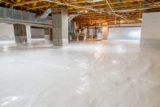 What’s Living Under Your Home? The Homeowner’s Guide to Crawl Space Encapsulation
