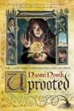 What to read after Uprooted by Naomi Novik