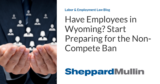 Have Employees in Wyoming? Start Preparing for the Non-Compete Ban
