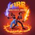 How Much Does It Cost to Start a Hydroponic Garden at Home? A Complete Guide
