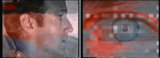 The Medium has Metamorphosed | animationstudies 2.0
