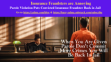Insurance Fraudsters are Annoying | Zalma on Insurance