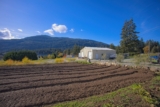 November 2024 – Market Analysis – Salt Spring Island