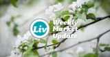 Edmonton Real Estate Weekly Market Update May2/25