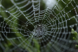 System tests: 10 traps to avoid