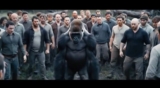 Can 100 Men Beat a Gorilla? Viral Debate Sparks Wild Reactions