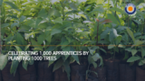 Growing Talent & Growing Trees