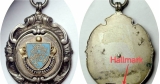 THE MYSTERY OF THE SILVER MEDALLIONS