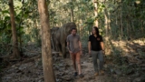 Why All Elephant Lovers Should Visit MandaLao