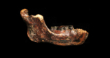 Denisovans Extend Their Range to Asia’s Pacific Coast