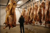 Do We Have an Obligation to Eat Animals? No. – Animal Rights The Abolitionist Approach