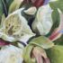A selection of this week’s new Historical and Romance fiction titles to 11th May – Jill’s Book Cafe