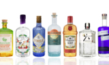 11 Flavored Gins Bartenders Actually Love