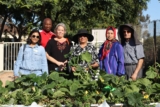 UC Master Gardener of San Diego County’s ‘labor of love’ improves health of older adults – Food Blog