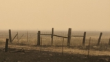 Wildfire takes toll on mental, physical health of food producers – Food Blog