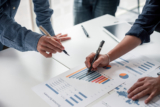 Modeling Tool for an Early Stage Investment Portfolio