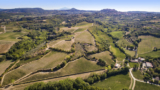 Tuscany’s Tenuta Valdipiatta receives €1m investment – Drinks International