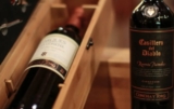 Concha y Toro volumes up nearly 5% in 2024 – Drinks International