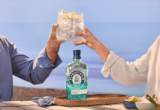 Former Bacardi-Martini boss launches French distributor – Drinks International