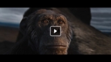 Royal Toronto Museum “Opera” spot