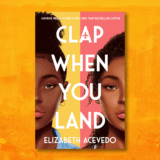 7 YA books by Black authors – Pretty Books