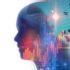 How Independent Retailers Can Fight Tariffs by Offering Services and Experiences — Management One Inventory Planning