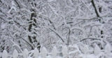 Garden Antqs Vintage: January 2016 Shows
