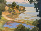 Mud Flats