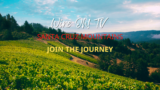 Santa Cruz Mountains | Wine Travel | Wine Region