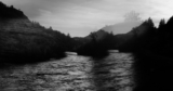 Opinion | A Story About Salmon That Almost Had a Happy Ending