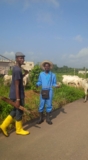 10 Profitable Agribusinesses in Nigeria