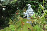 800 years on: Why St Francis of Assisi still captivates the world