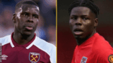 The Zouma Brothers Have Been Sentenced. Now What About the Rest of Us? – Animal Rights The Abolitionist Approach